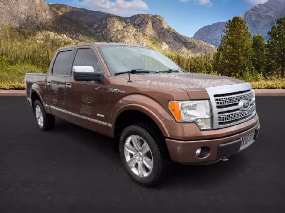 2012 Ford F-150 - 1FTFW1ET2CFC12756 - Image #33