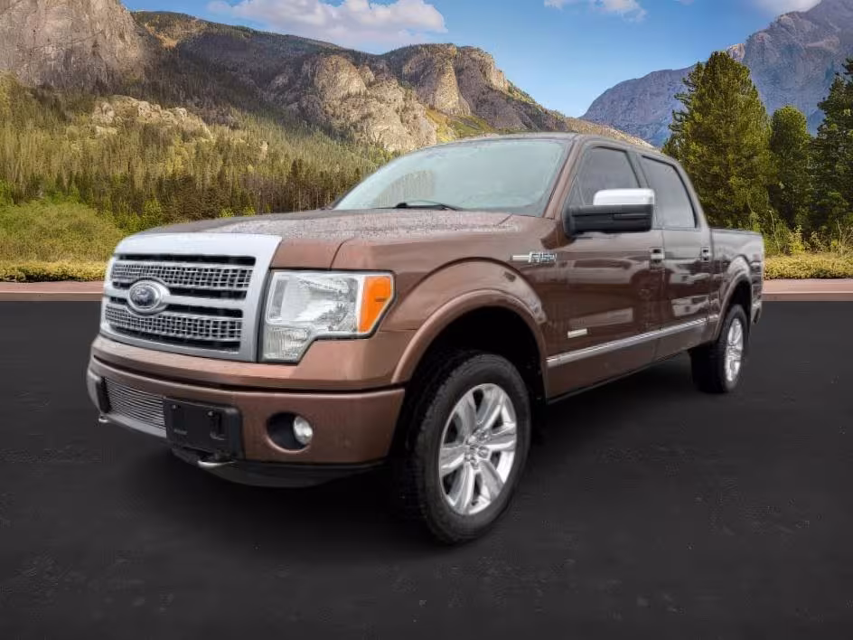 2012 Ford F-150 - 1FTFW1ET2CFC12756 - Image #25