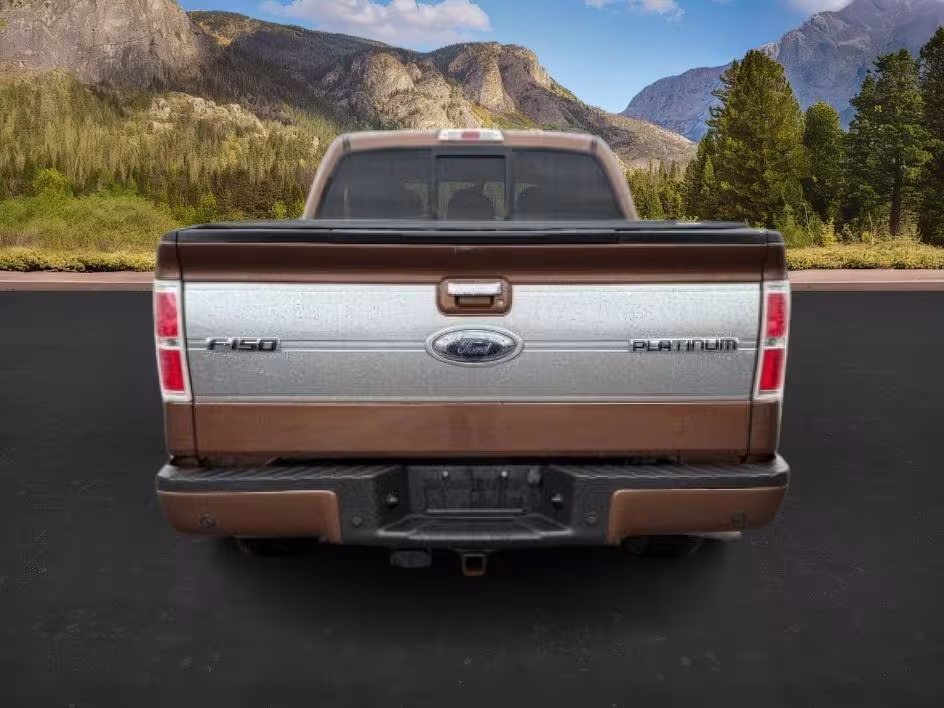 2012 Ford F-150 - 1FTFW1ET2CFC12756 - Image #28