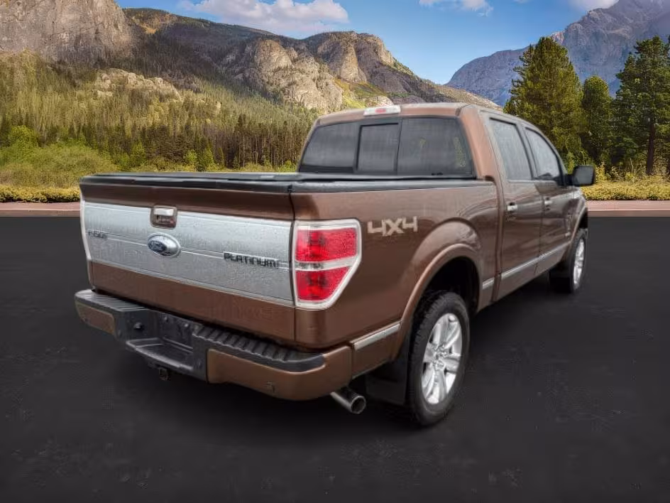 2012 Ford F-150 - 1FTFW1ET2CFC12756 - Image #31